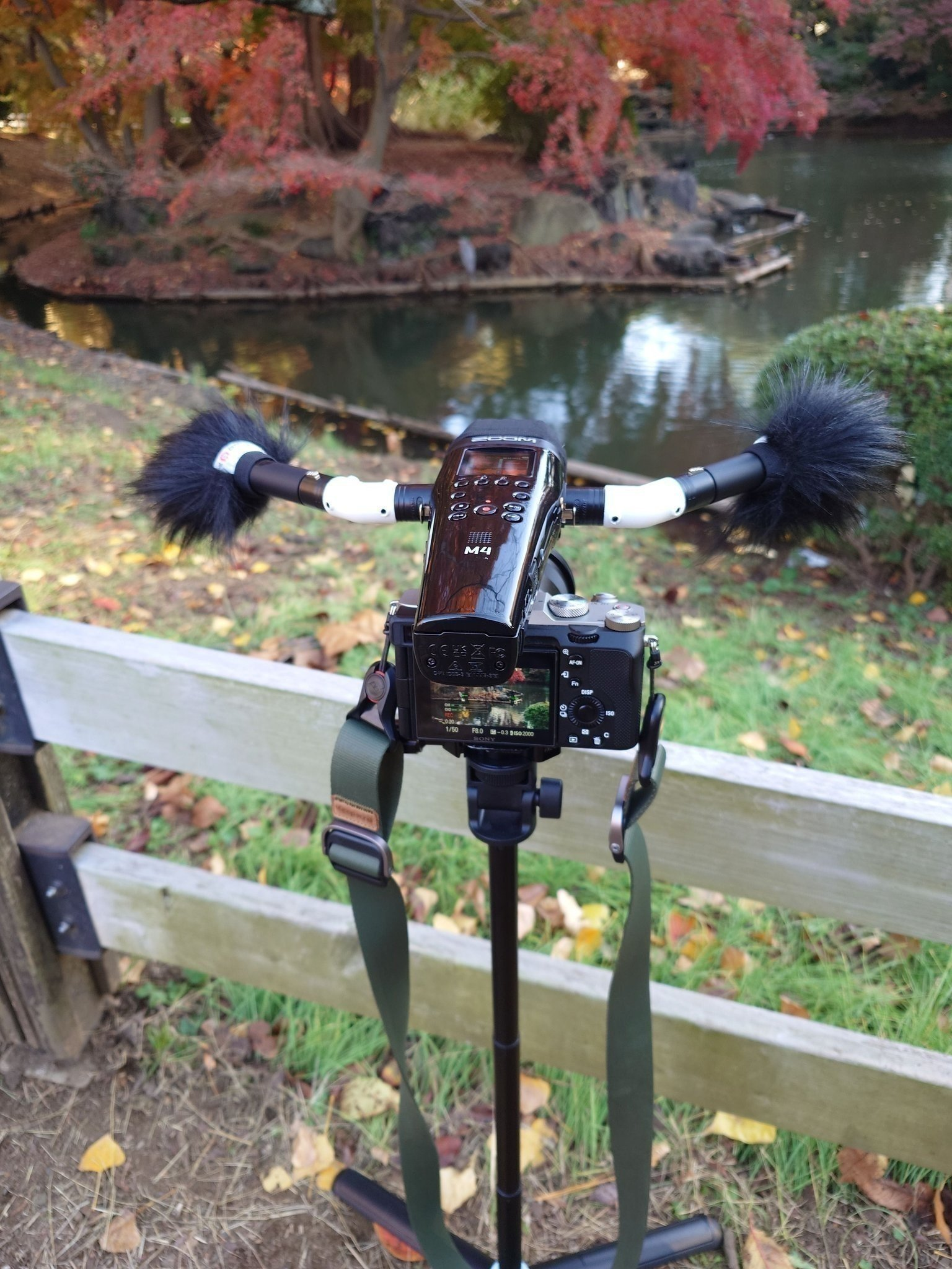 Zoom M4 with white 35-degree XLR adapters and two wind-protected microphones above a camera beside a pond at Shinjuku Gyoen